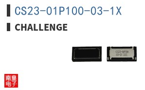 CS23-01P100-03-1X ͼƬ